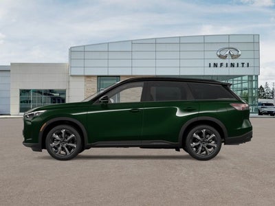 2026 INFINITI QX60 Autograph