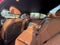 2023 INFINITI Q50 SENSORY